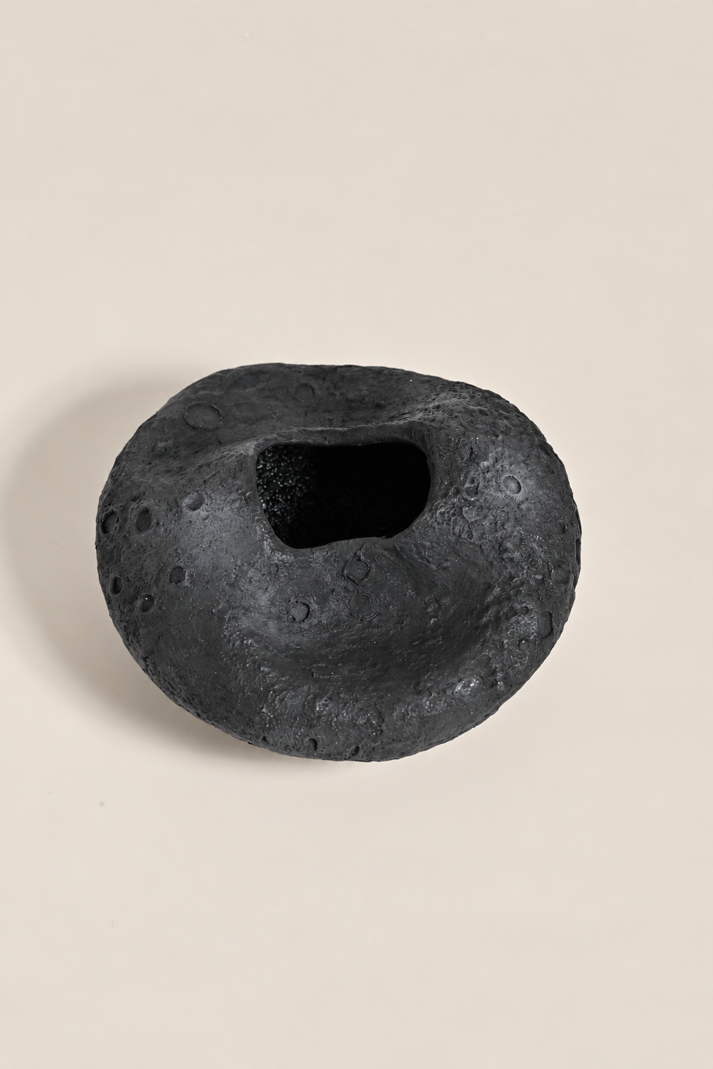 The Lunar Vessel